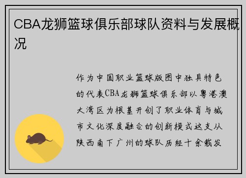 CBA龙狮篮球俱乐部球队资料与发展概况