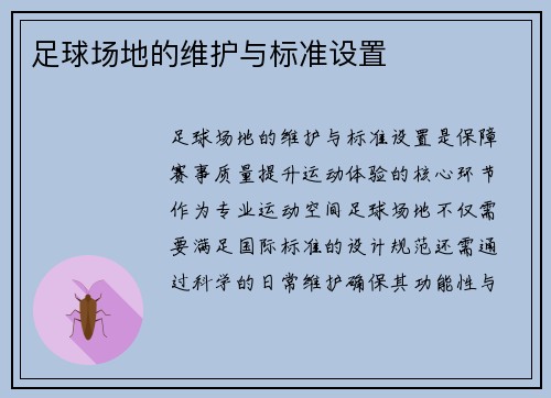 足球场地的维护与标准设置